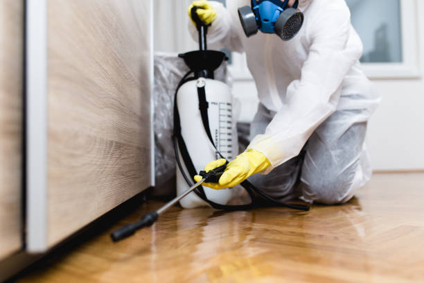 Best Bed Bug Extermination  in Ettrick, VA