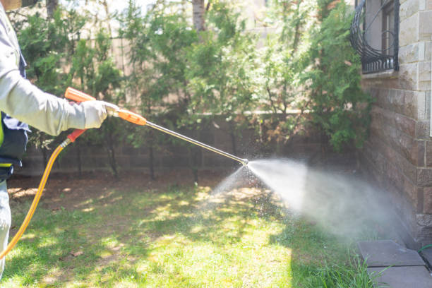 Best Best Pest Control Companies  in Ettrick, VA