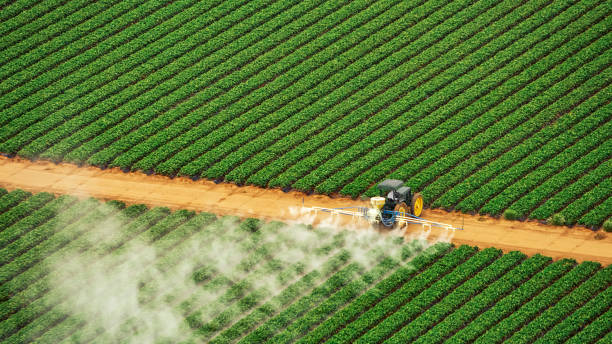 Pest Control Cost in Ettrick, VA
