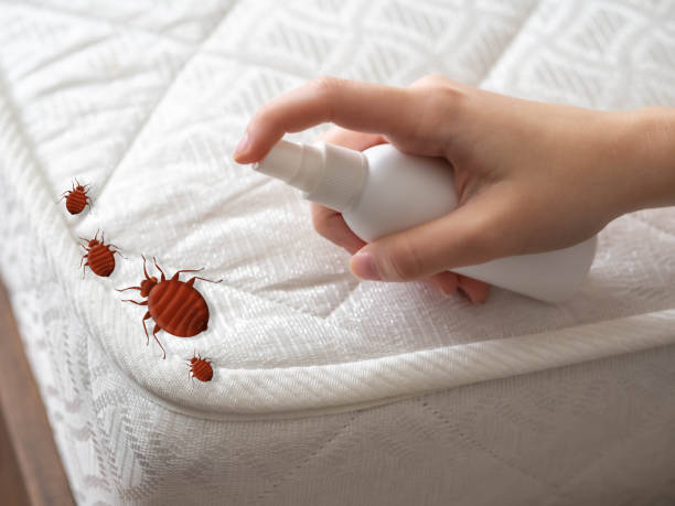 Pest Prevention Services in Ettrick, VA