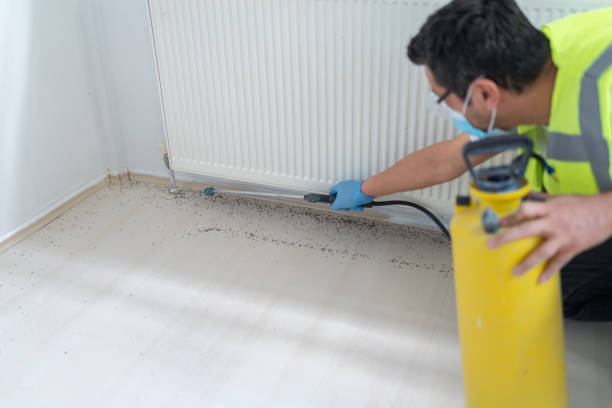 Best Best Pest Control Companies  in Ettrick, VA